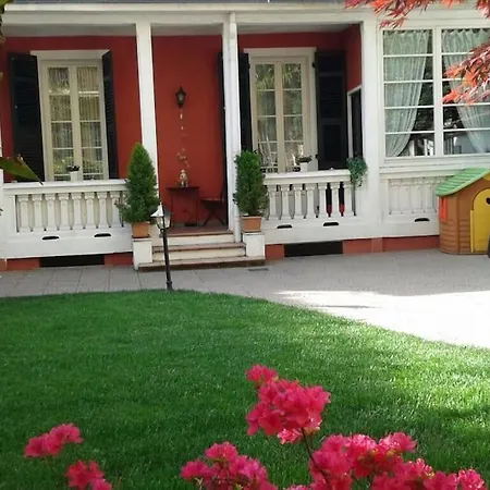 At 128 : Little Garden In The * Turin
