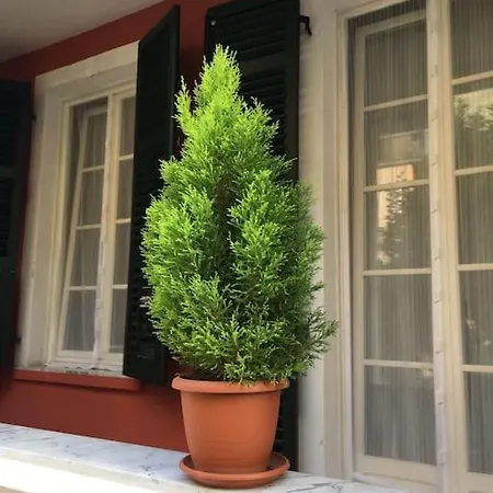 Appartamento At 128 : Little Garden In The *