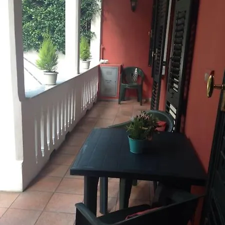 Apartment At 128 : Little Garden In The *