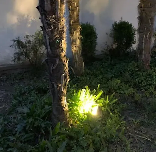 At 128 : Little Garden In The Appartement *