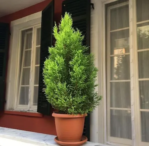 Appartement At 128 : Little Garden In The *