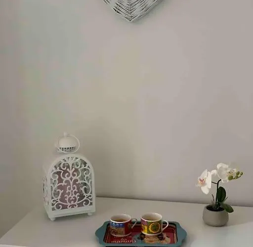 At 128 : Little Garden In The Appartement *