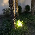 At 128 : Little Garden In The Apartamento *