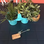 Apartamento At 128 : Little Garden In The Turín