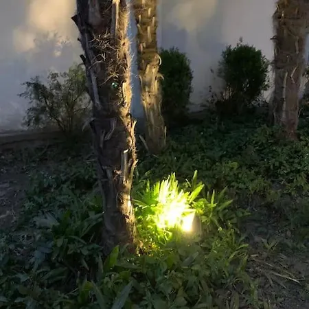 At 128 : Little Garden In The Appartamento *
