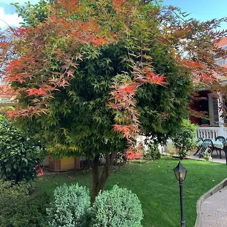 At 128 : Little Garden In The Apartmán *